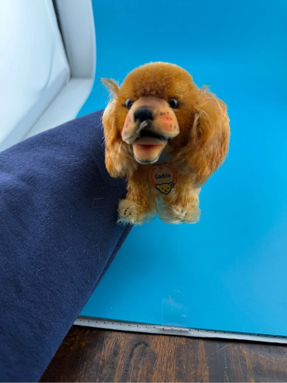 Vintage Steiff Cockie Cocker Spaniel Dog 4” 1950s Chest Tag Germany Mohair